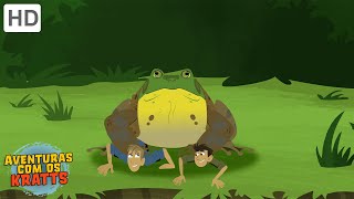 Aventuras Com Os Kratts - A Lagoa Das Rãs Episódio Completo - Hd