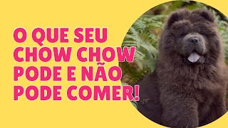 Alimentos que podem ser perigosos para seu chow chow!