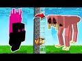 I did Mob Battle with Herobrine in Minecraft | Mob Battle | Mob Battle Competition