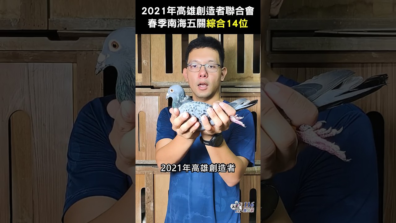 116賽鴿網｜台灣最專業的賽鴿網站-持續更新國內外各種賽鴿資訊，種鴿、網拍、代辦進口鴿交流