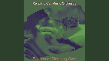Pulsating Music for Relaxing Cats
