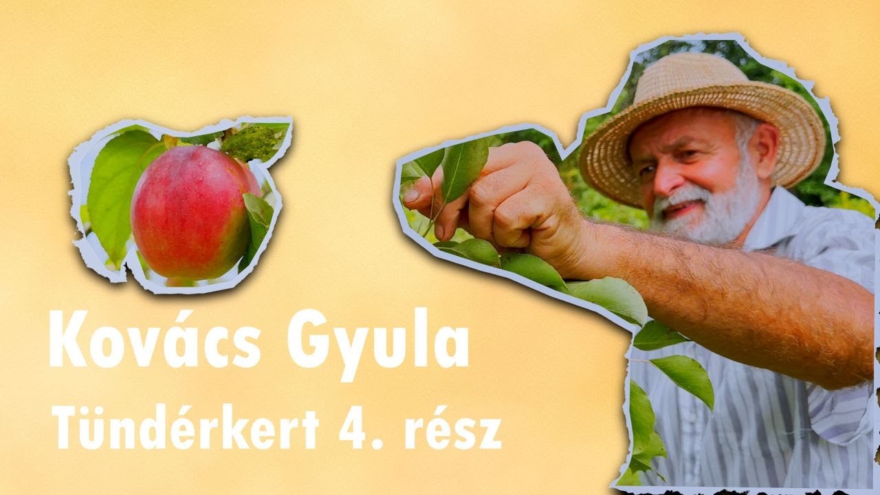 Kovács Gyula, a Tündérkertek gazdája 4. rész
