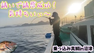 No.60【駿河湾沼津】乗っ込み真鯛！誘いは大事かな？笑