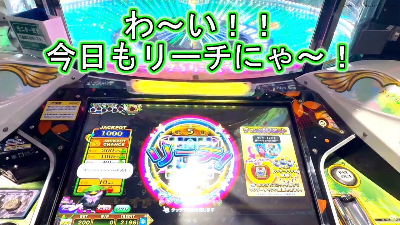 こねこのメダルゲーム日記No.982 アニマロッタ勇者アニマと竜の