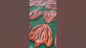 Ik verkoop gedroogde slangenkopvissen in de groothandel en detailhandel. Bel me op 0942544902 en ...