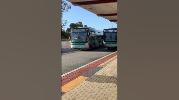 Transperth bus trip to get back to home on 2529 @ 355F