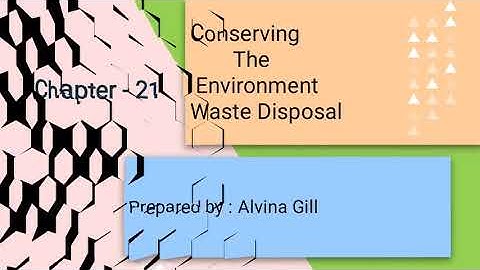 Class 4, Social Studies, Chapter 21 by Alvina Gill