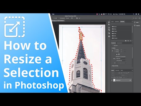 How to Resize a Selection in Photoshop CC 2020