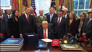 Vote Democrat anti-Trump TV spot: 'Only Democrats can stop Trump' 2026 Mid-term election, 5 min reel