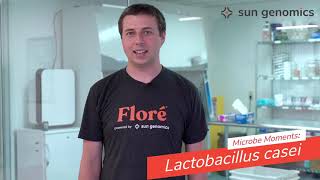 Microbe Moments: Lactobacillus casei | Sun Genomics