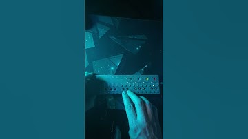 Midnight doodling on the OP-Z