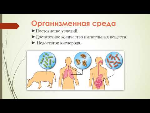Среды обитания организмов (урок биологии 5 класс)