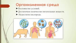 Среды обитания организмов (урок биологии 5 класс)