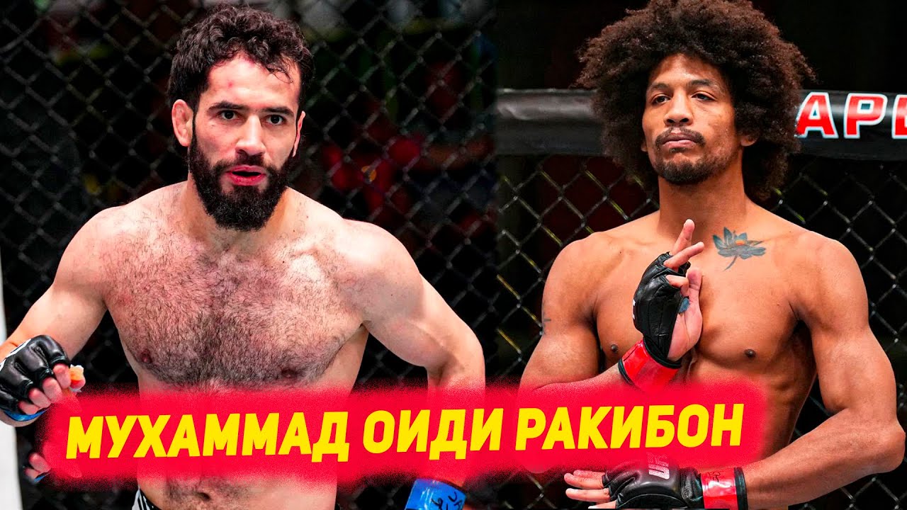 Ufc мухаммад наимов прямой эфир. Мухаммад Наимов. Мухаммад Наимов и Силва.