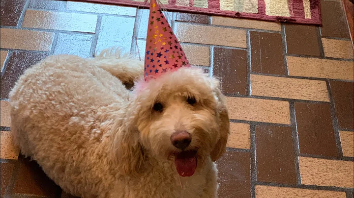 Happy 1st Birthday Charlotte Caroline! Cooley Dood...