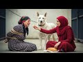 زوجة أبني حبستني بجانب الكلب وعندما عاد أبني كانت الصدمة قصة حقيقية 