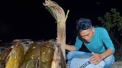 Cắm Câu Vùng Biên Giới Đụng Bầy Cá Khủng Dưới Con Kênh Lâu Năm