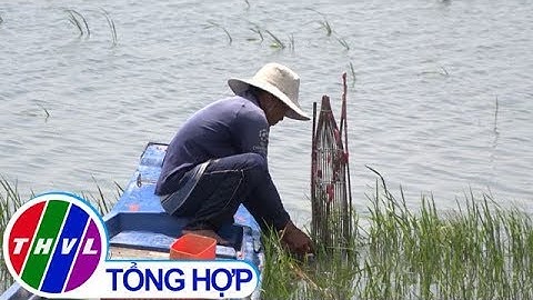 THVL | Đặt xà di bắt cá rô đồng mùa nước nổi