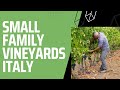 Petits vignobles familiaux  italie