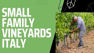 Small Family Vineyards - Italy