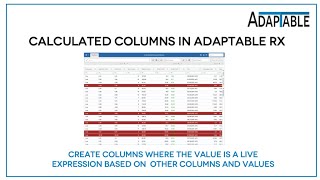 Famous Calculated Columns in AdapTable Rx provide powerful custom column functionality. Net Worth