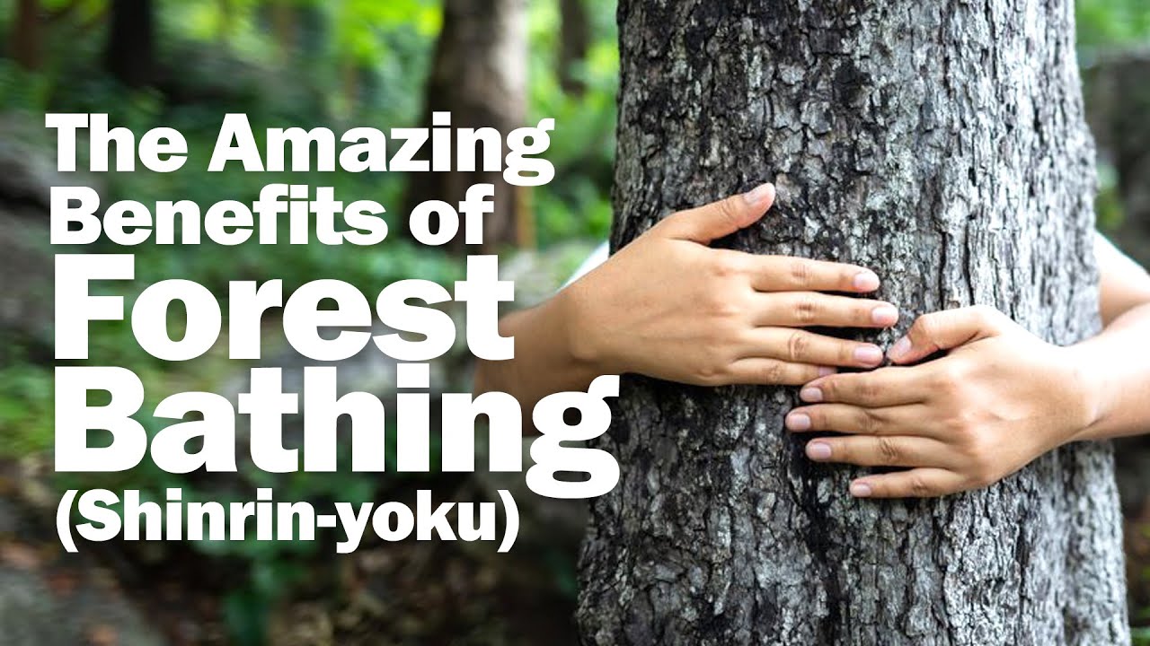 5 Amazing Benefits of Forest Bathing (Shinrin-yoku) - YouTube