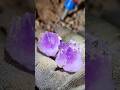 dig amethyst, flower bud