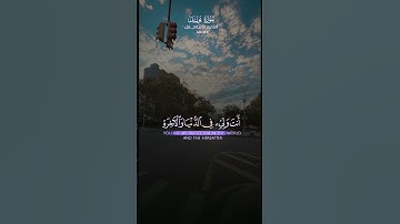 تلاوة مؤثرة من سورة يوسف | خالد الجليل.                  سورة يوسف • قرآن كريم • خالد الجليل •