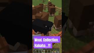 Wool collection without killing Sheep. #minecraft #mimecraftsurvival