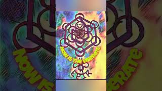Nuances of Reflections (Internal & External Clarity)