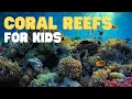 Coral Reefs for Kids | Learn about the 3 types of coral reefs Fringe, Barrier and Atoll