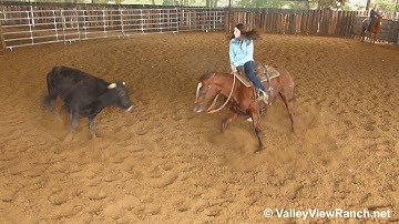 Smooth Dualing Girl - working cows! - ValleyViewRanch.net
