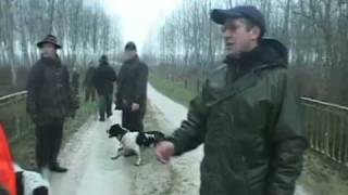 Recent Des Faisans À Brienne-Le-Château