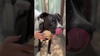 Vicky 2 Mai 2026 Video 2