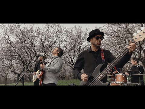 Snails -- Florile