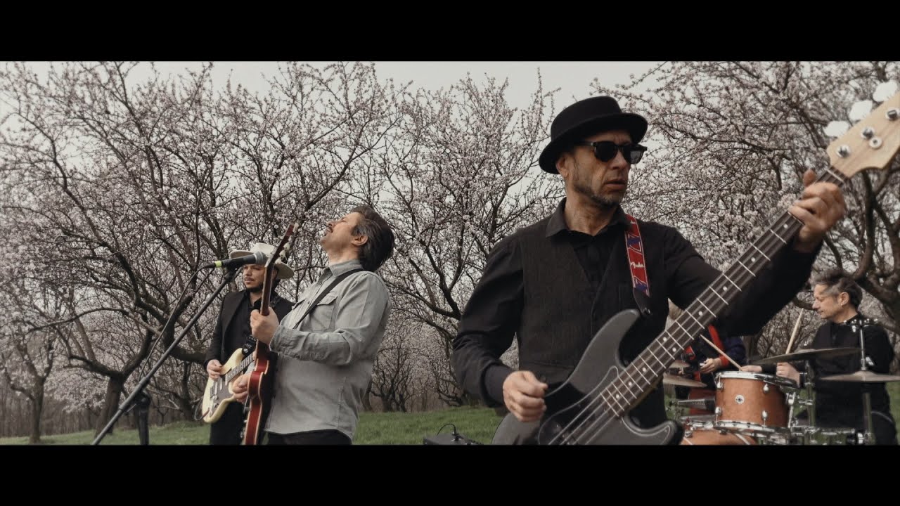 Snails -- Florile de zarzarel (Official Visualiser)