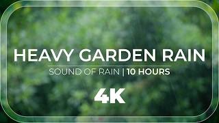 Heavy Garden Rain | 10 Hours of heavy rain sound for Relaxation & Meditation