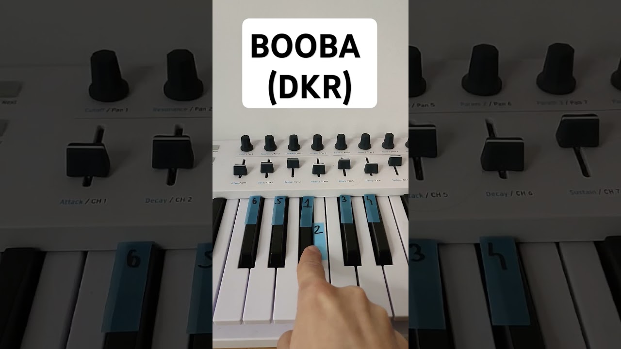 Booba - DKR - Piano For Beginners 