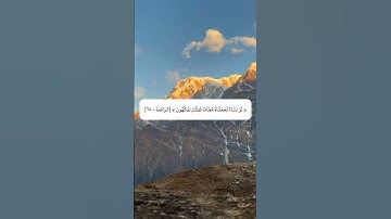 أفرئيتم ماتحرثون# سورة الواقعة# محمد البراك