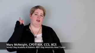 Migraine Alert Dog Training - What Tasks Can A Migraine Alerting Dog Do For Me