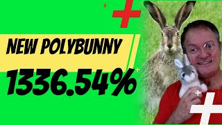 New PolyBunny high yield updates with more exciting pools (high risk) 🤑