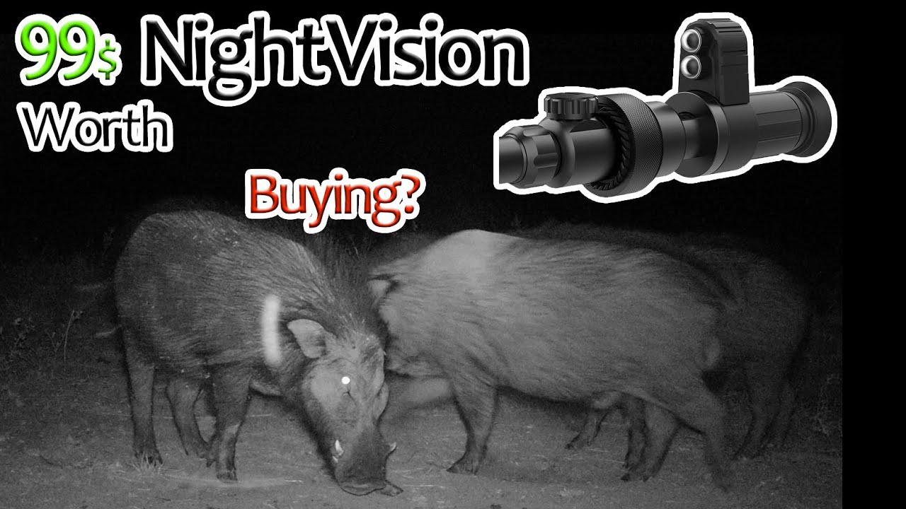 Best Budget Night Vision Scope to Buy Review 2023 YouTube