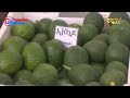 ሃገራዊ ፈስቲቫል ኤርትራ 2026 ኤክስፖ | Eritrean Festival Expo 2026 - ERi-TV