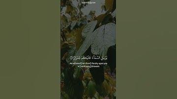 قرآن كريم بصوت القارئ سالم الرويلي || أجمل حالات واتس اب دينيه || تلاوة خاشعة 🌧️🌿
