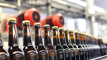 1500 Bph | Automatic Beer Bottle Filling Machine Running Video 🍾⚙️