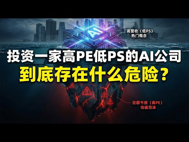 美股投资一家高PE低PS的AI公司，到底存在什么风险？TSLA PLTR SYM ....