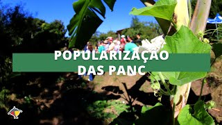 Encontro Nacional discute popularização de Plantas Alimentícias Não Convencionais | Terra Sul