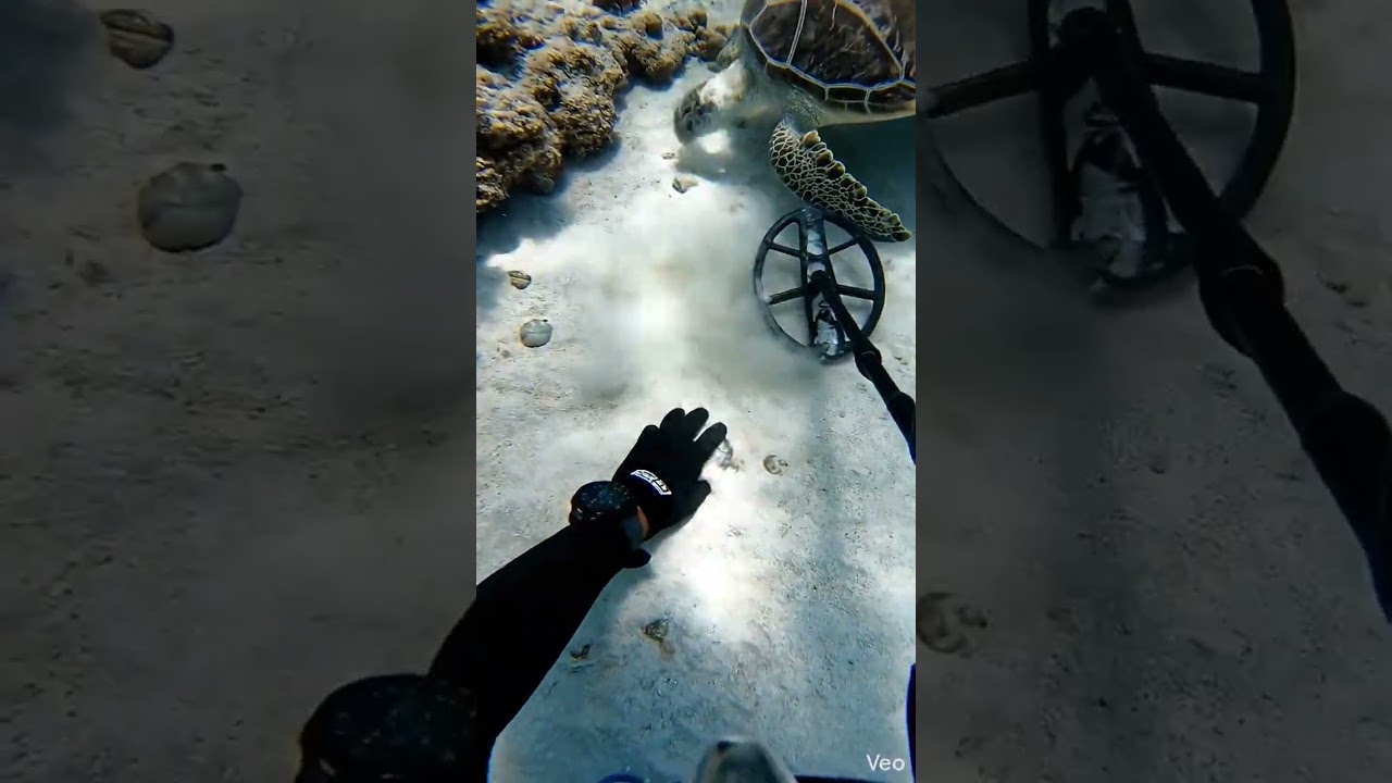 Searching for objects at the ocean 