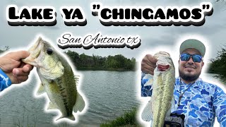 Bass Fishing 🎣 San Antonio Texas . #bass #bassfishing #fishing