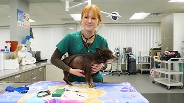 TMCC Virtual Tour - Meadowood Center